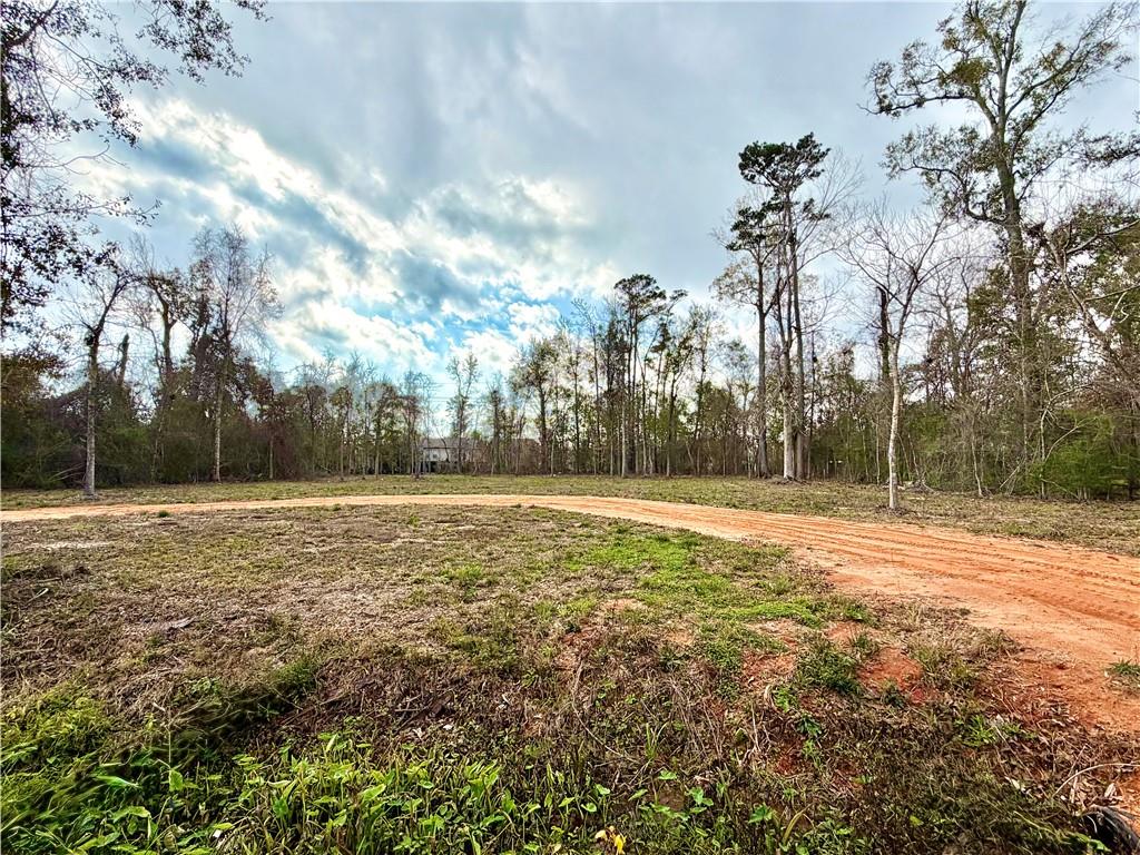 202 Shadow Lane Mandeville, LA 70471 - Photo 2 of 13