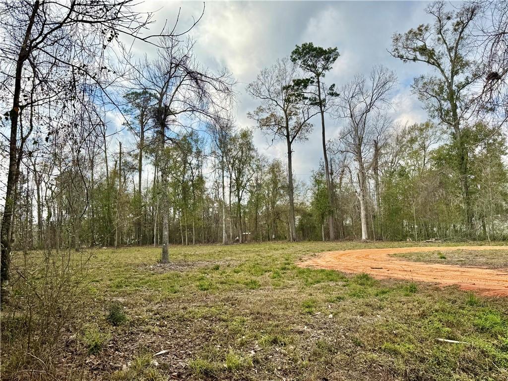 202 Shadow Lane Mandeville, LA 70471 - Photo 3 of 13