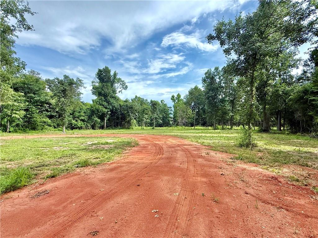 202 Shadow Lane Mandeville, LA 70471 - Photo 4 of 13