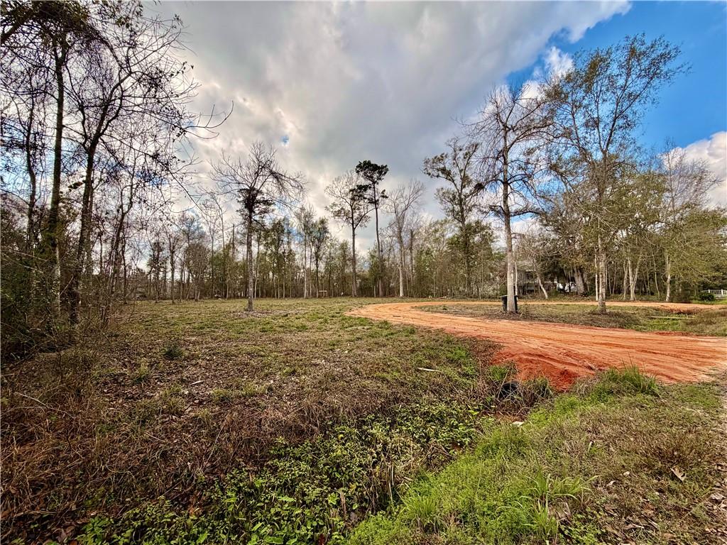 202 Shadow Lane Mandeville, LA 70471 - Photo 9 of 13