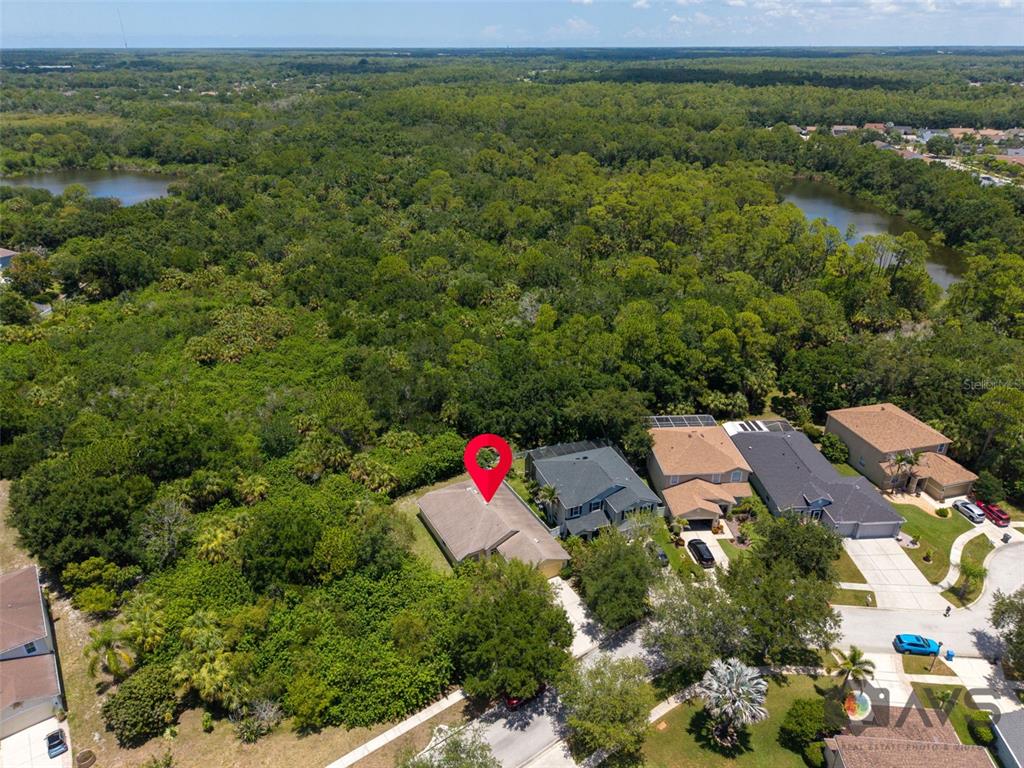 12415 Rustic View Court Tampa, FL 33635 - Photo 52 of 53
