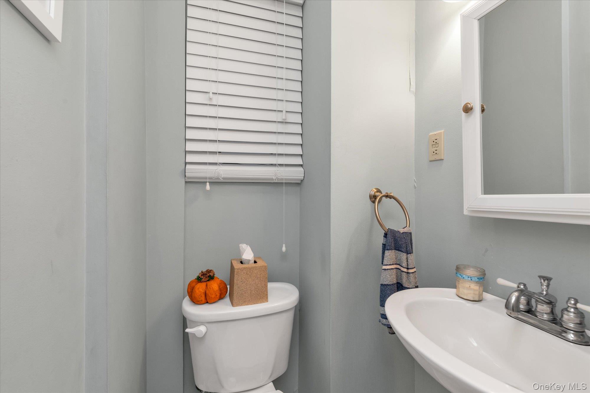29 Orleans Road Valley Stream, NY 11581 - Photo 11 of 20 a bathroom with a sink a toilet and a mirror