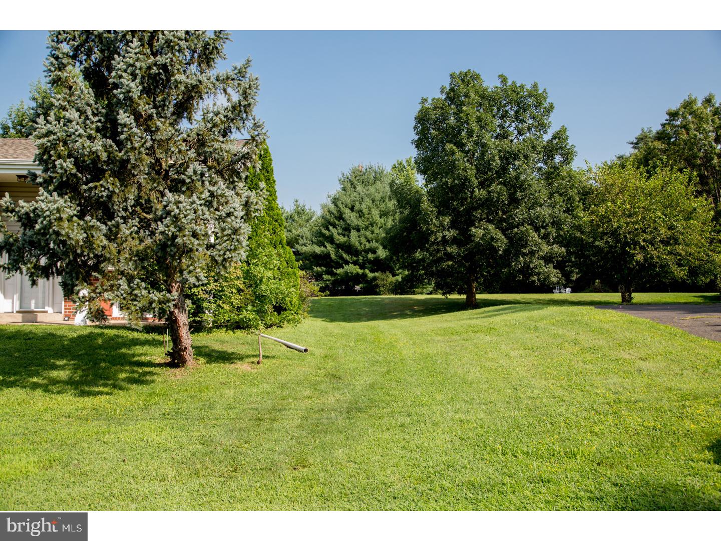 161 Blue Jay Road Chalfont, PA 18914 - Photo 21 of 24 Back Yard
