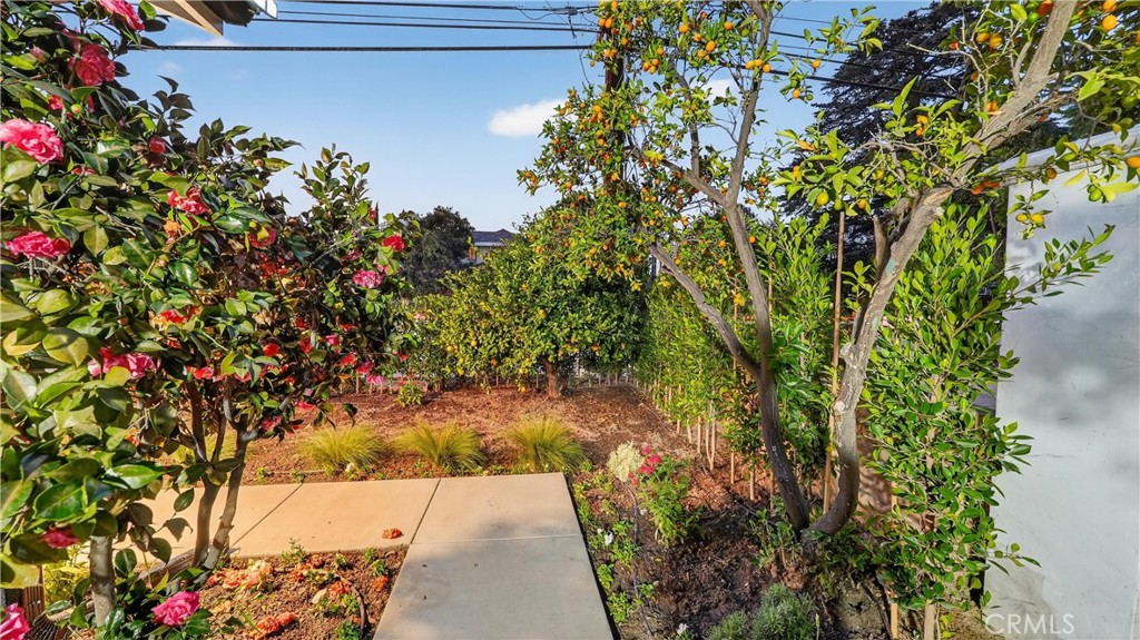 4404 Cogswell Road El Monte, CA 91732 - Photo 60 of 63 a backyard of a house with lots of green space