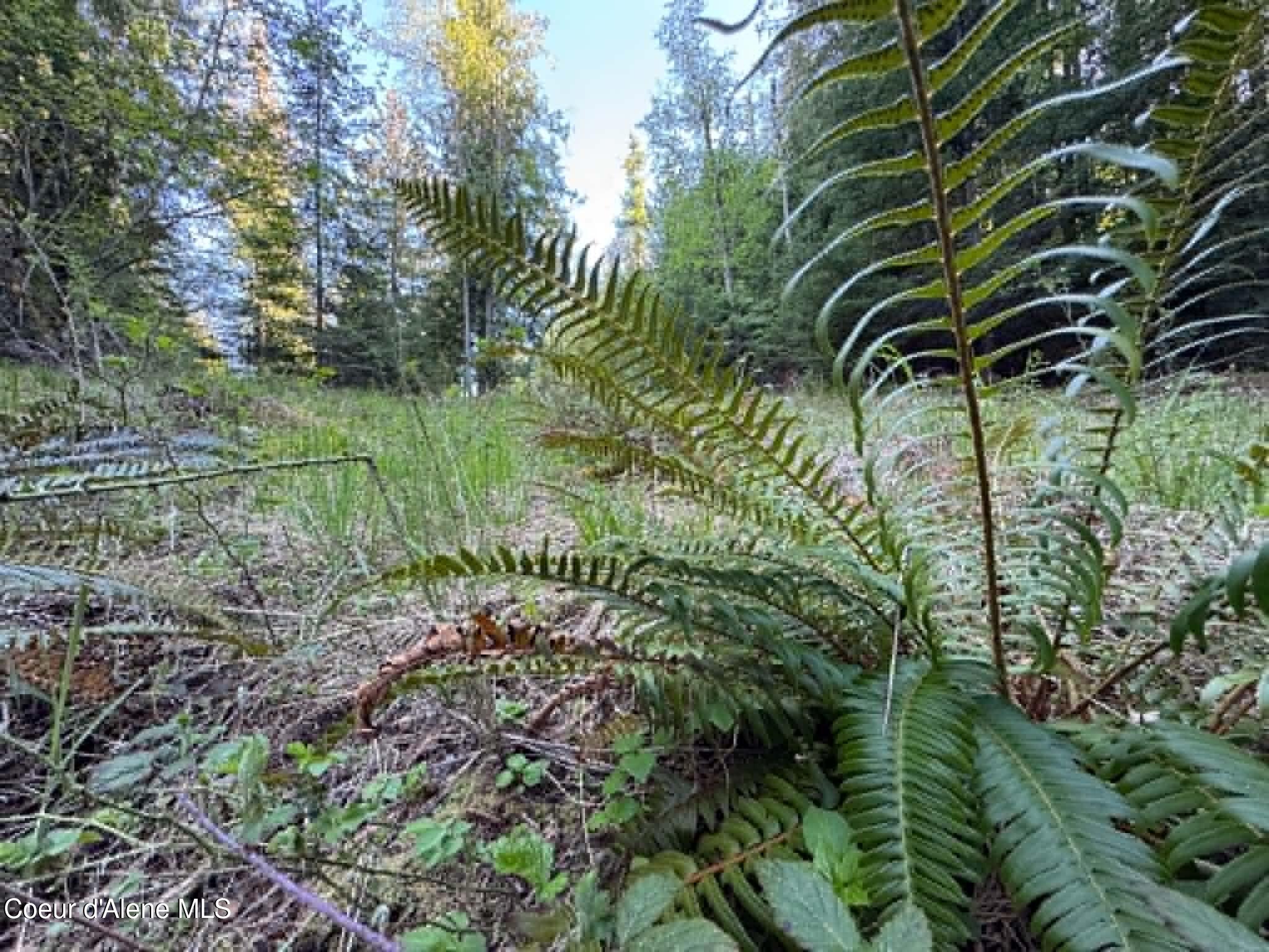 90 Shawnee Path Sagle, ID 83860 - Photo 10 of 47 2712f7ed-1e7e-4905-b964-b31b09bec213