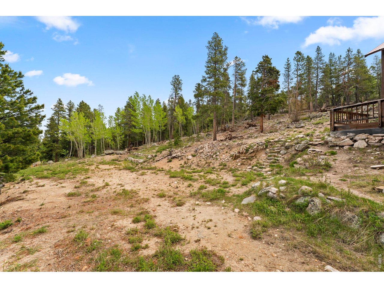 109 Cutforth Road Black Hawk, CO 80422 - Photo 24 of 40 Tree mitigated