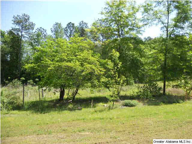 379 Deerfield Road Hayden, AL 35079 - Photo 14 of 15