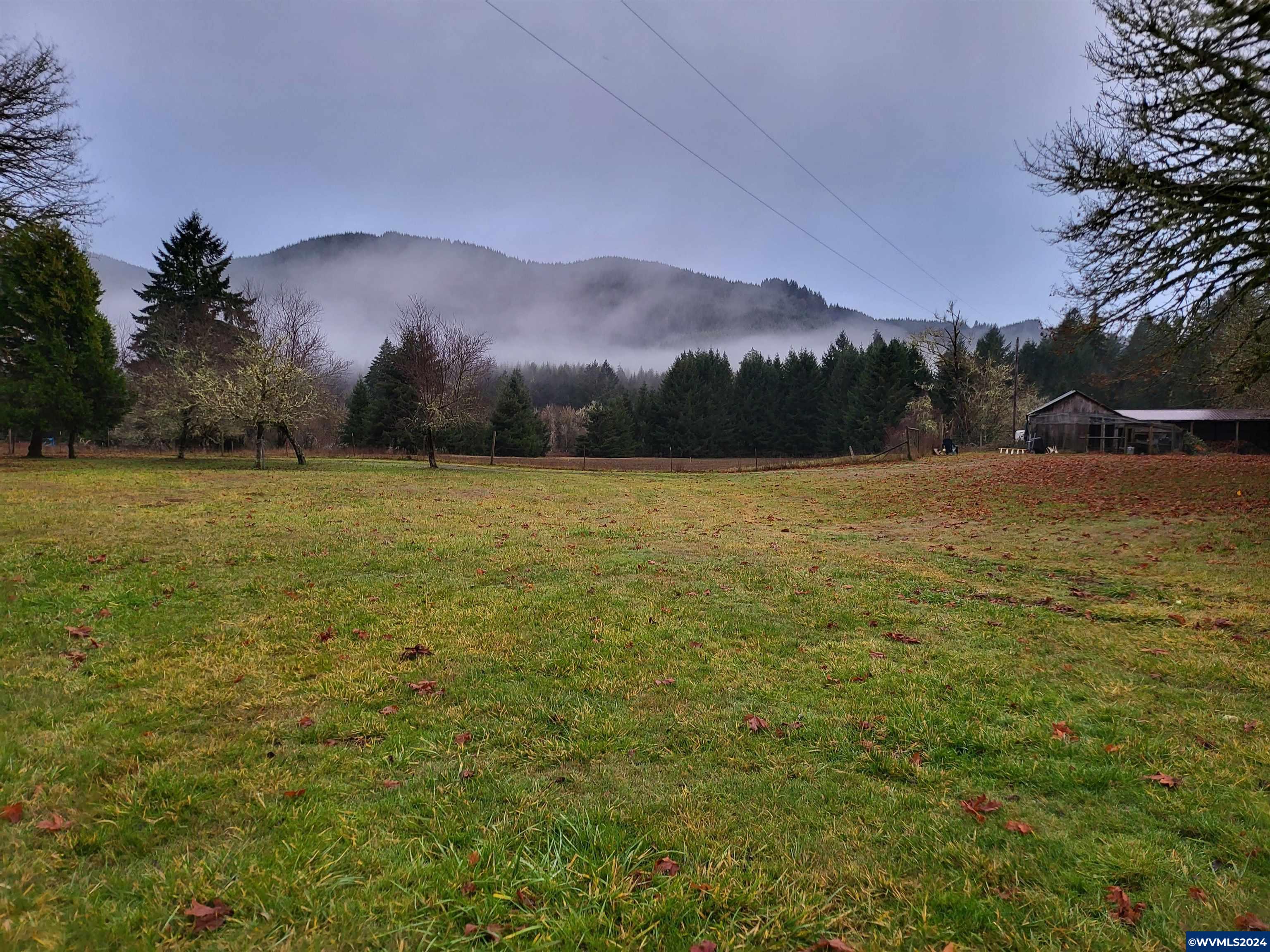 39241 Luckiamute Road Philomath, OR 97370 - Photo 31 of 36 Gallery Image 31