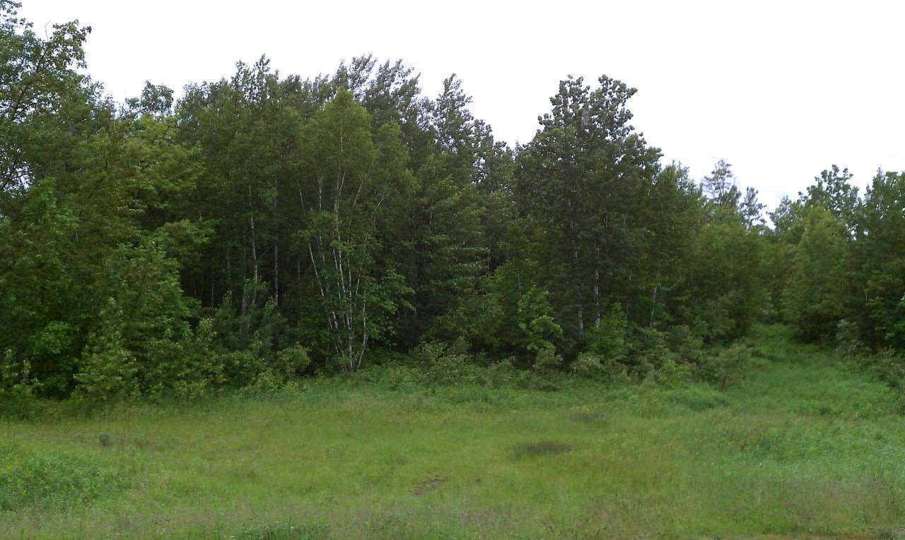 123 Cty 2 Road Bagley, MN 56621 - Photo 1 of 1 Gallery Image 1