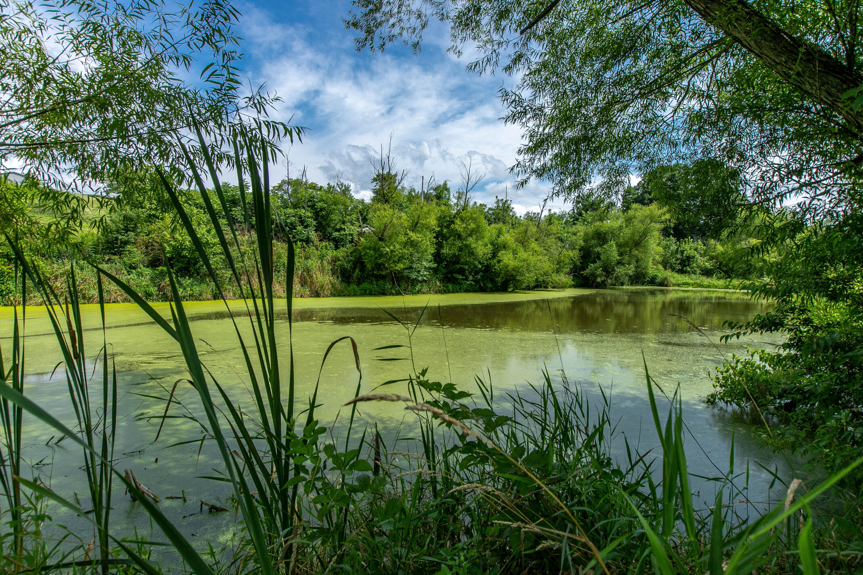 102 Farmers Trace Road Mount Eden, KY 40046 - Photo 54 of 58 3-22