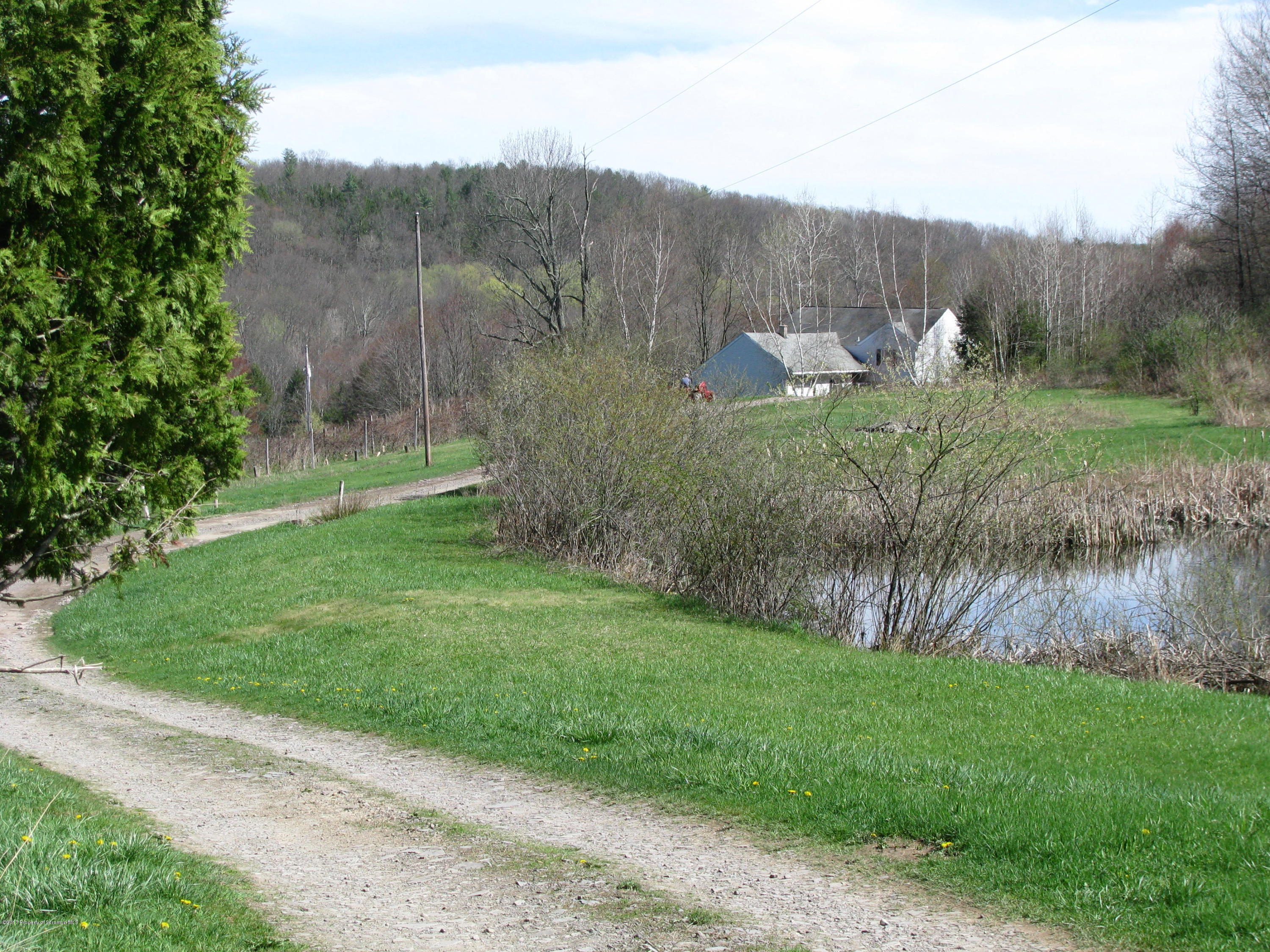 155 Blossom Road Nicholson, PA 18446 - Photo 2 of 35 a view of a back yard
