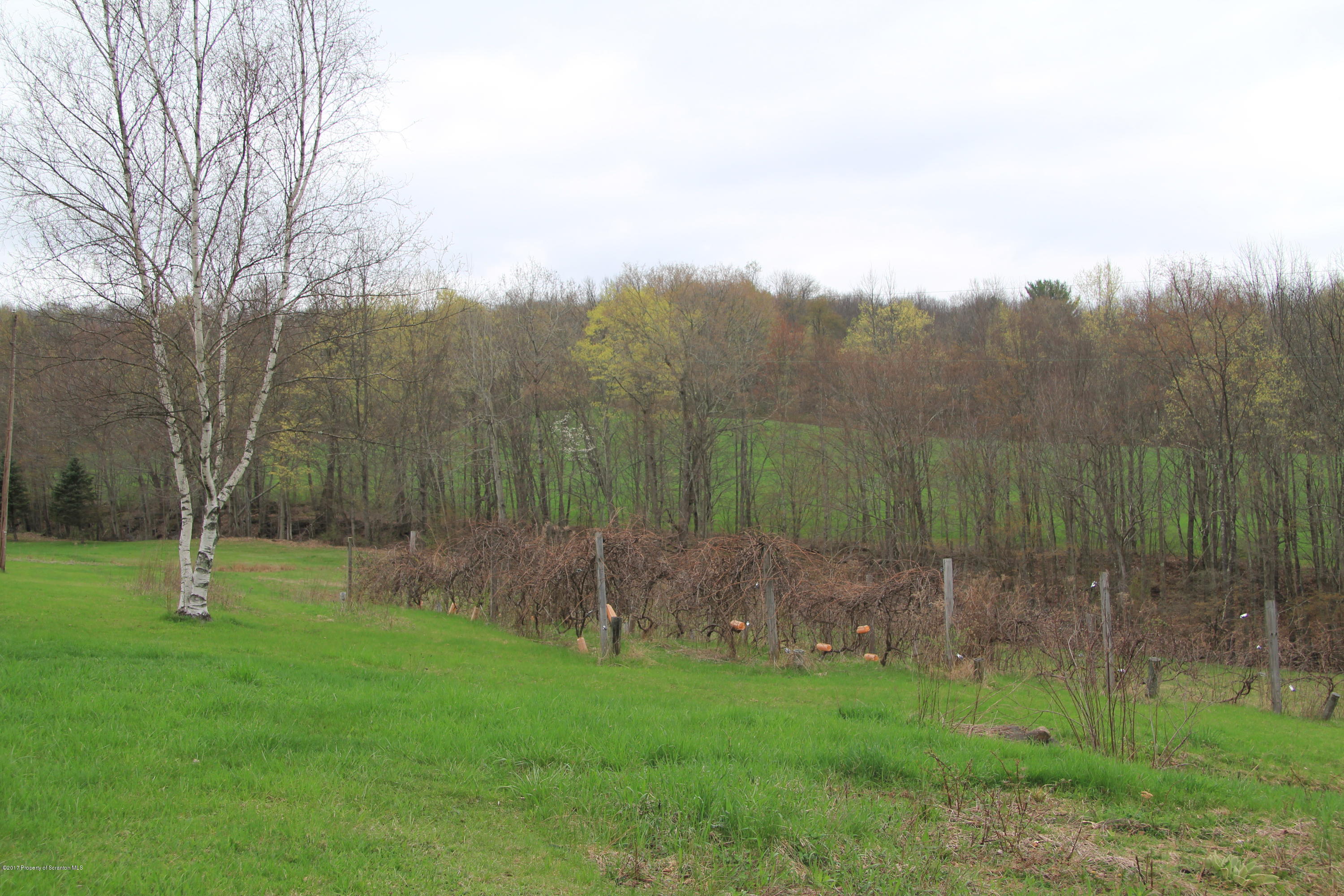155 Blossom Road Nicholson, PA 18446 - Photo 24 of 35 a view of a park