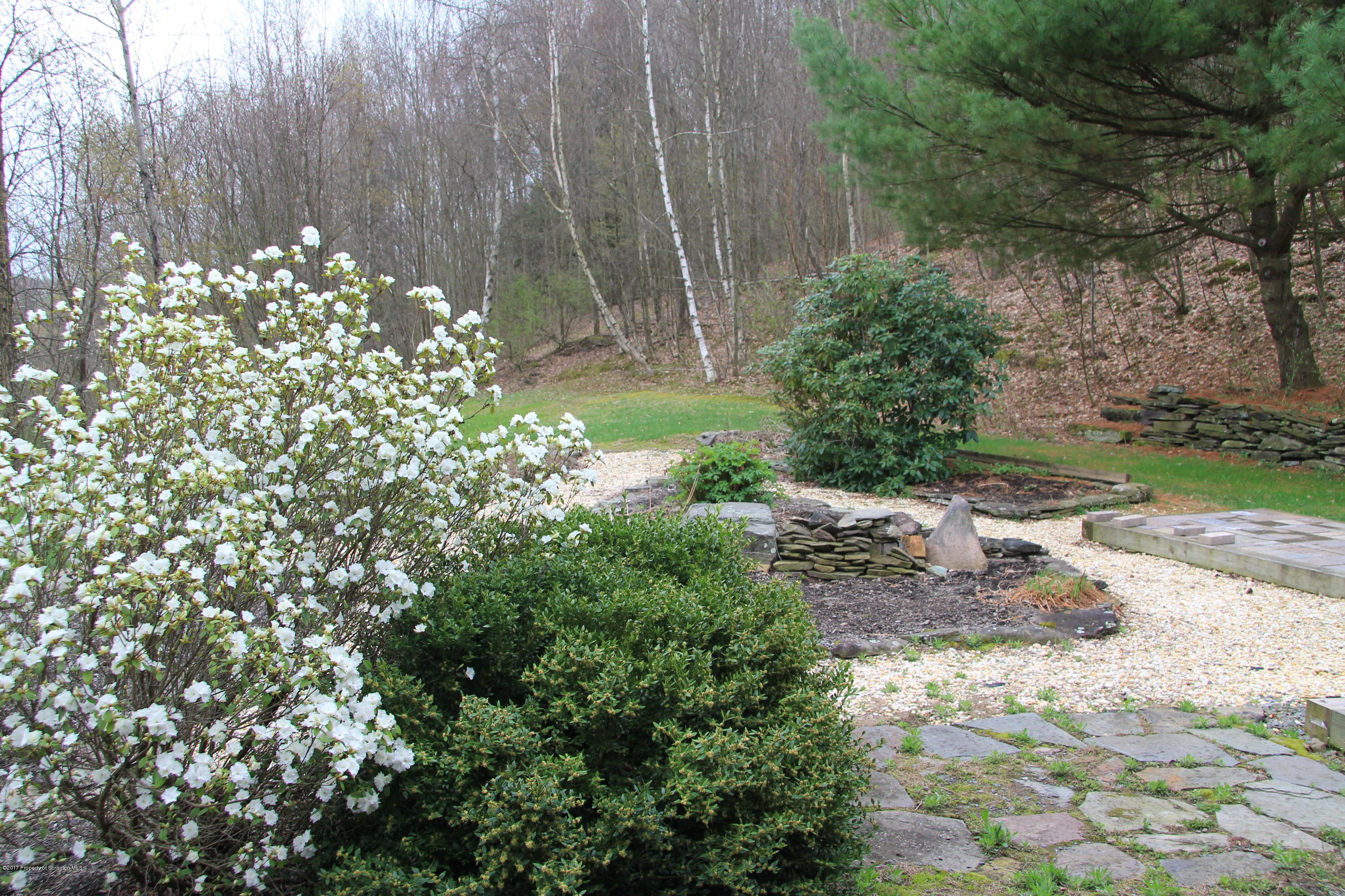 155 Blossom Road Nicholson, PA 18446 - Photo 26 of 35 a view of a yard with plants and large trees