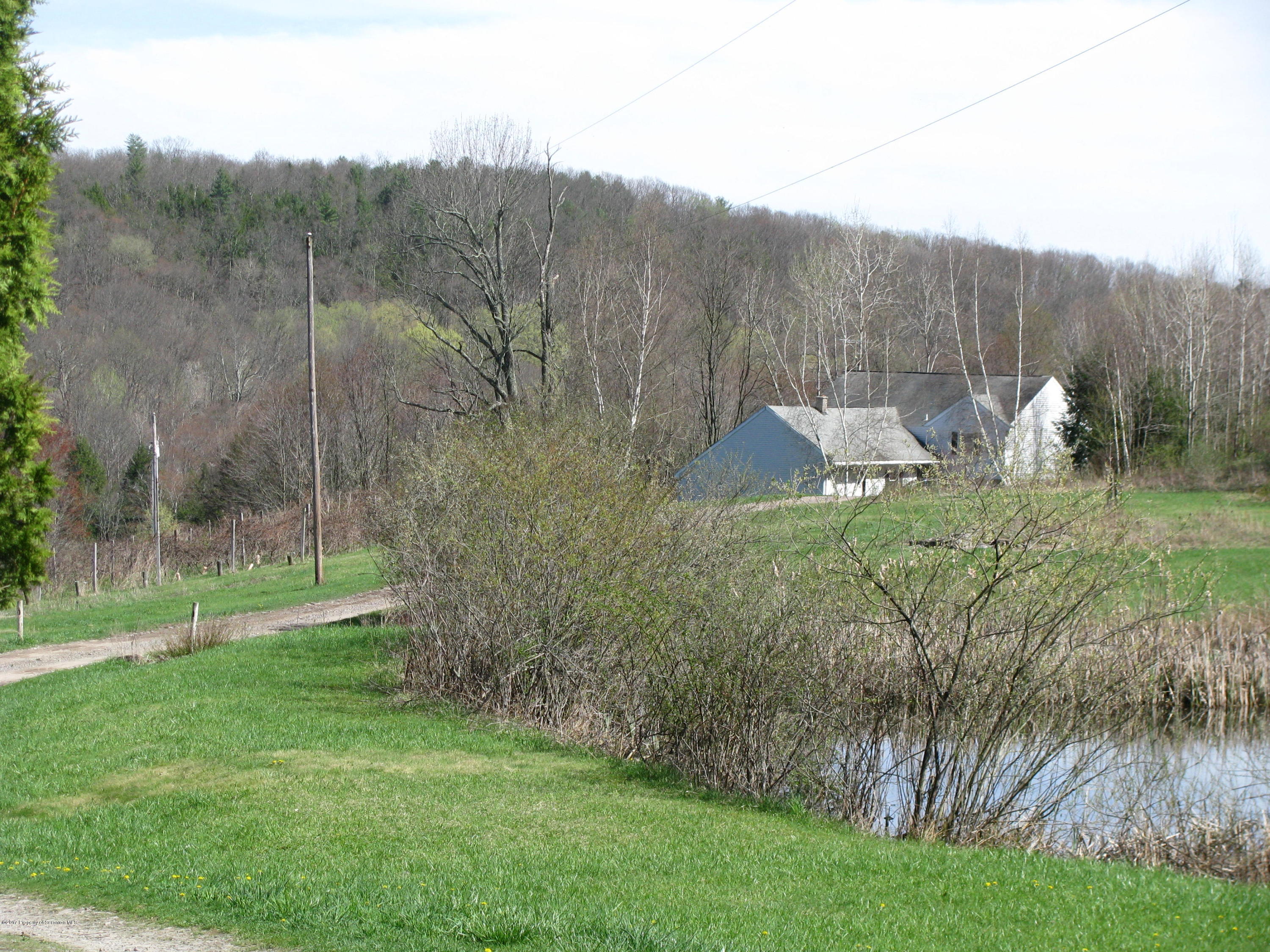 155 Blossom Road Nicholson, PA 18446 - Photo 35 of 35 a view of a backyard