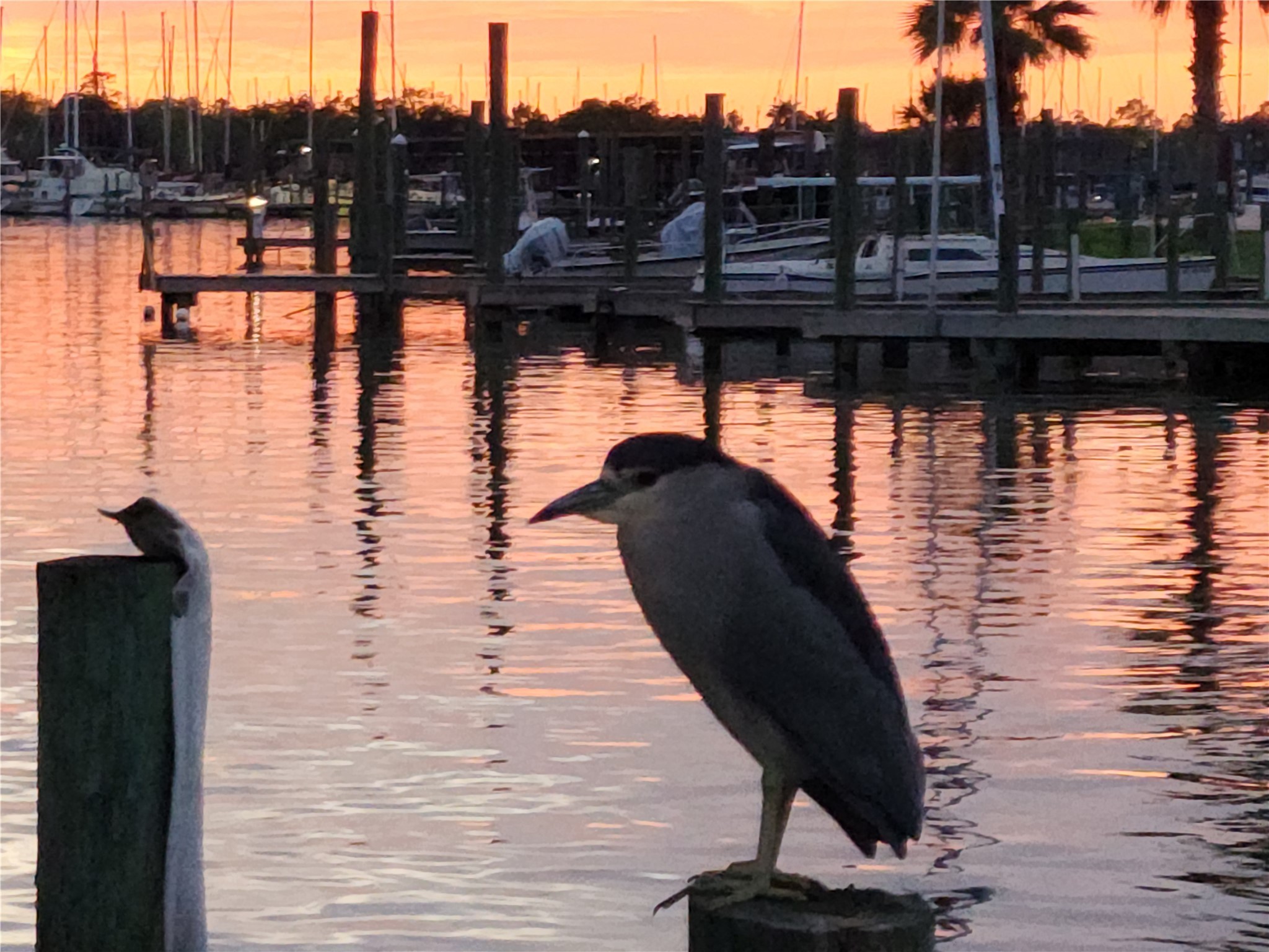 21 Tindel Street Clear Lake Shores, TX 77565 - Photo 11 of 12