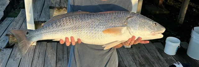 $399,990 | 21 Tindel Street, Clear Lake Shores, TX 77565