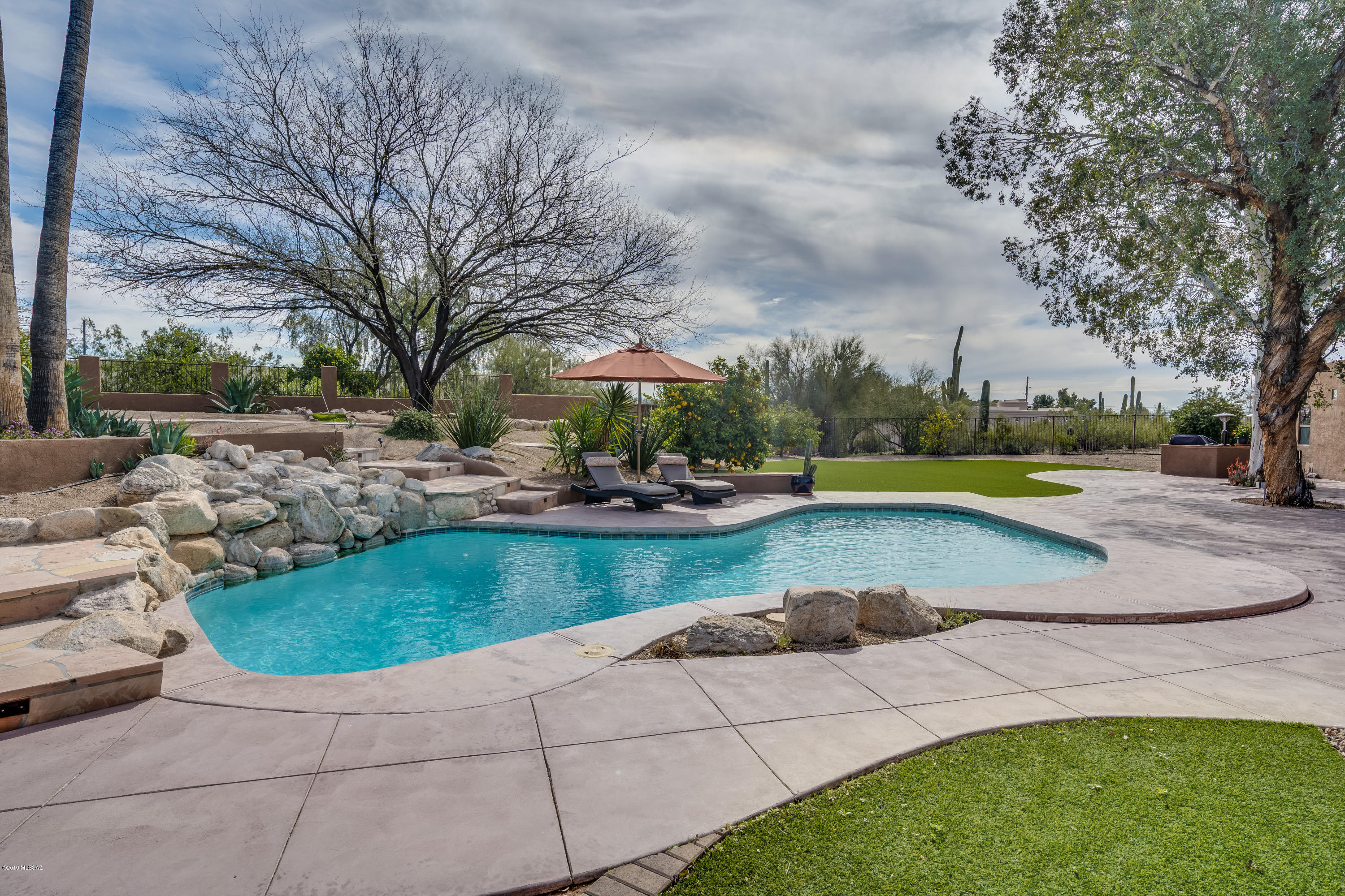 790 West Panorama Road Tucson, AZ 85704 - Photo 45 of 50 Gallery Image 45