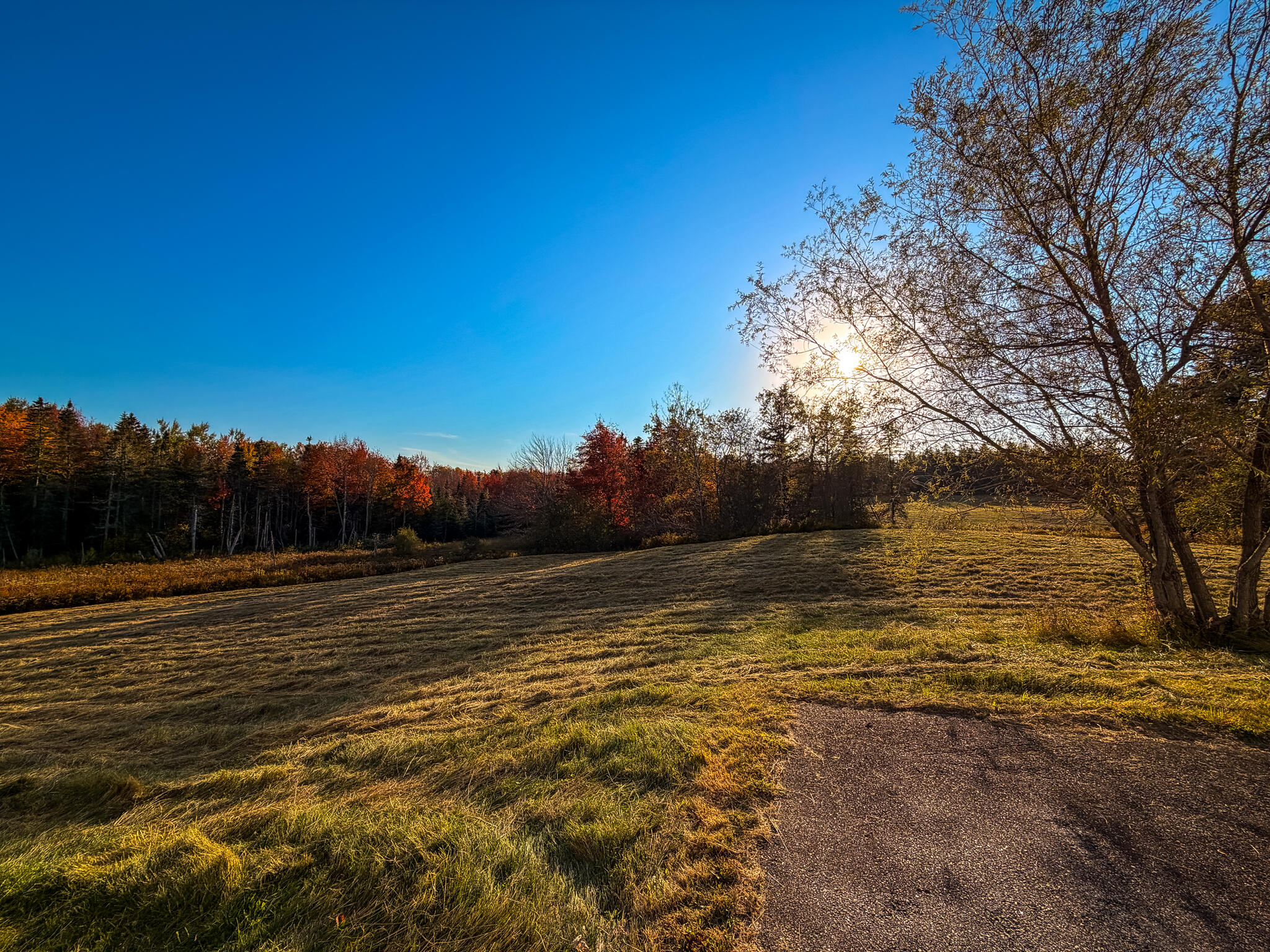 633 Milbridge Road Cherryfield, ME 04622 - Photo 32 of 48 633MilbridgeRd-10