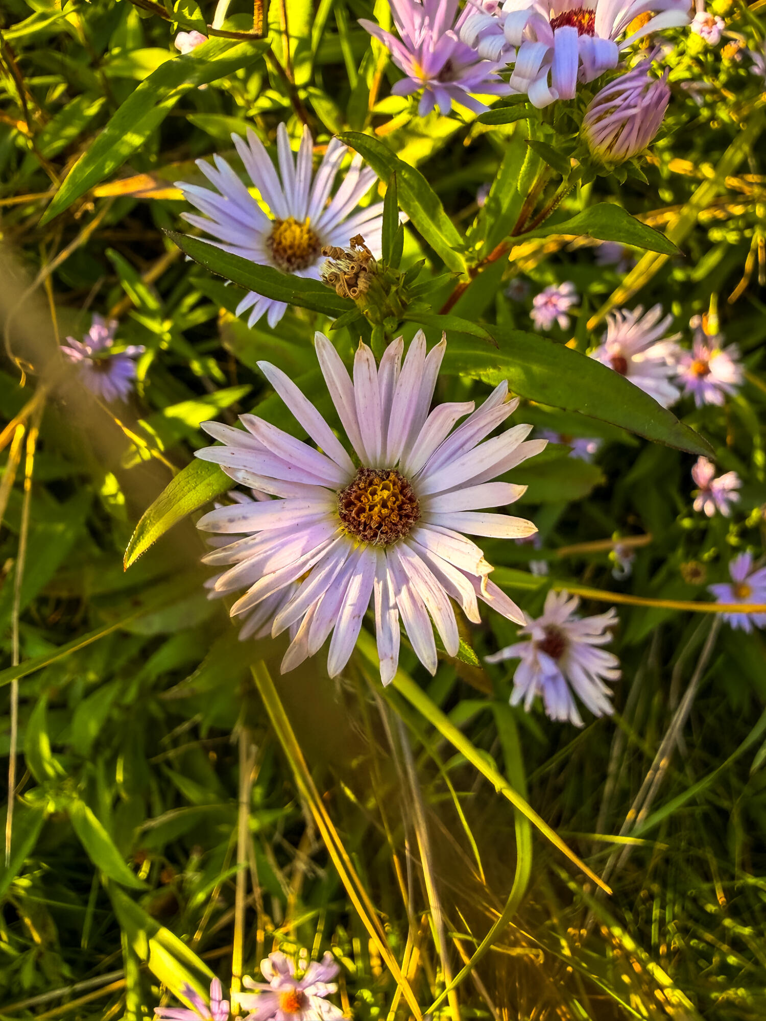 633 Milbridge Road Cherryfield, ME 04622 - Photo 33 of 48 633MilbridgeRd-09