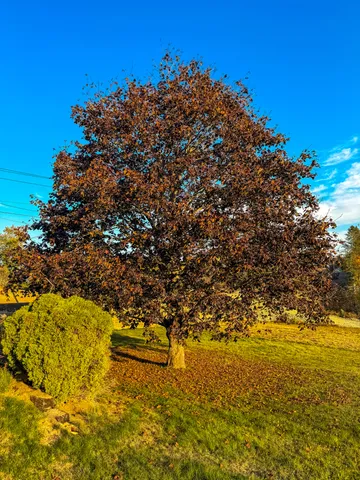 $165,000 | 633 Milbridge Road, Cherryfield, ME 04622