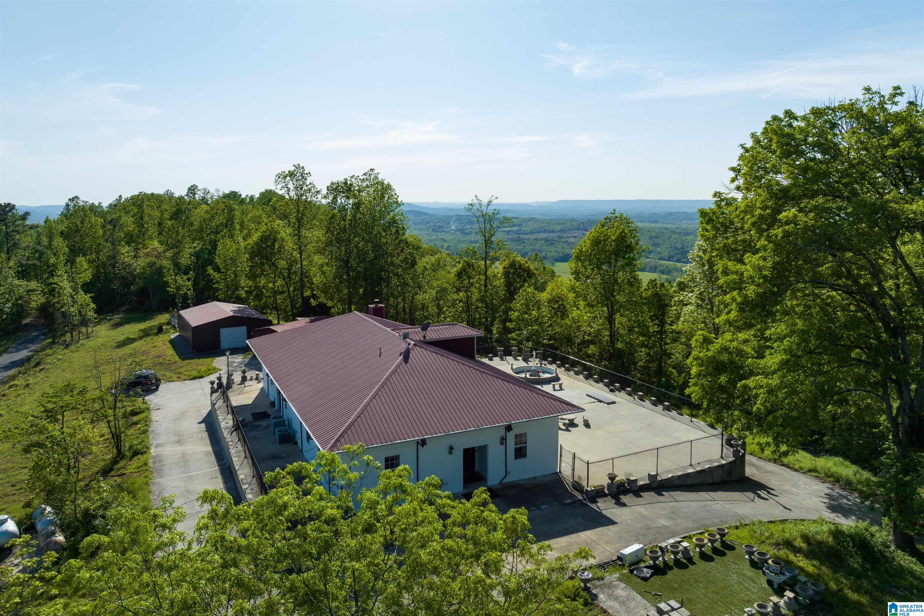 1905 Beaver Mountain Road Ashville, AL 35953 - Photo 8 of 48