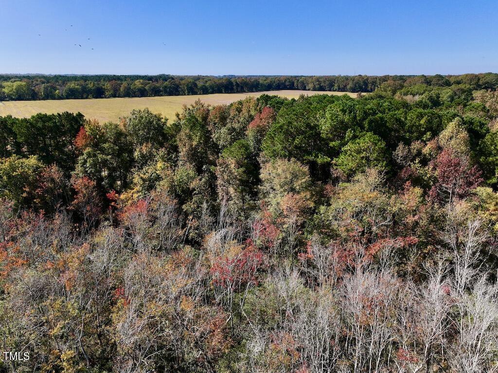 0 Buck Swamp Road Pikeville, NC 27863 - Photo 24 of 38 25