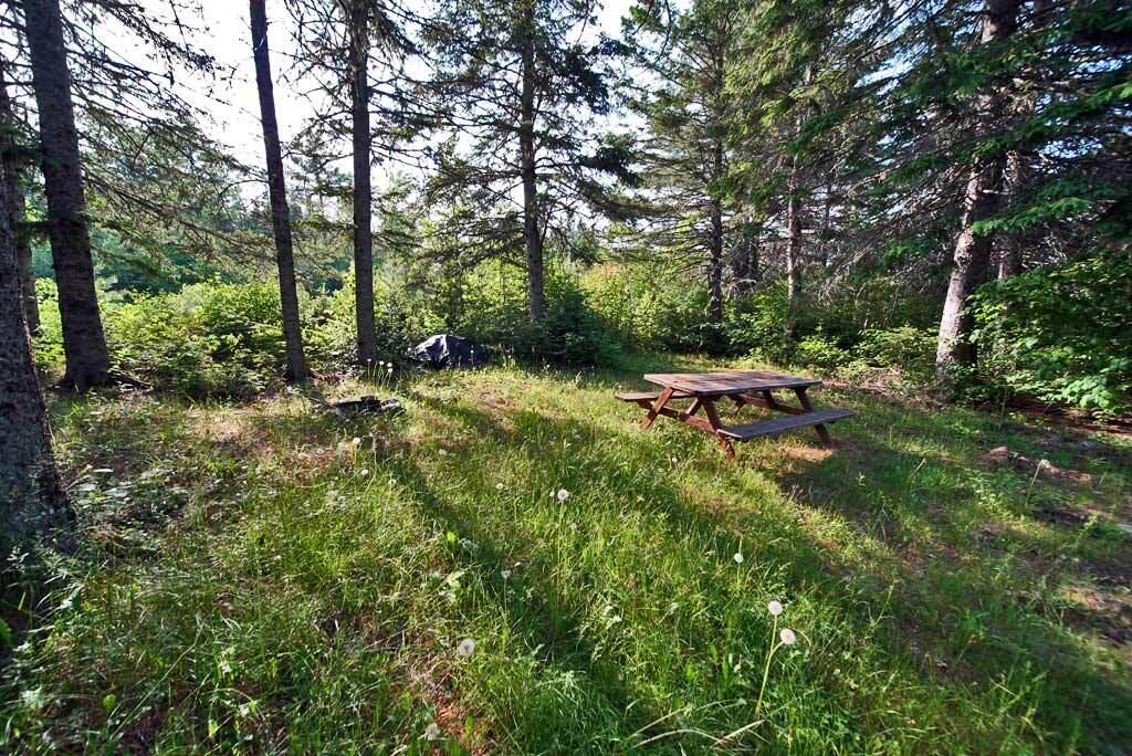 2236 Bancroft Road Bancroft, ME 04497 - Photo 28 of 40 river-picnic-table-me