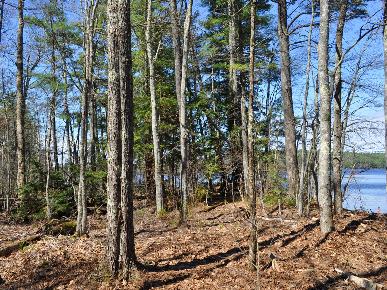 39 Baldwin Road Nobleboro, ME 04555 - Photo 28 of 34 Waterfront lot 2 1280