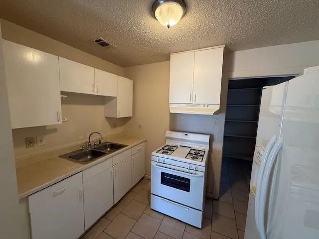 a kitchen with a stove and a sink