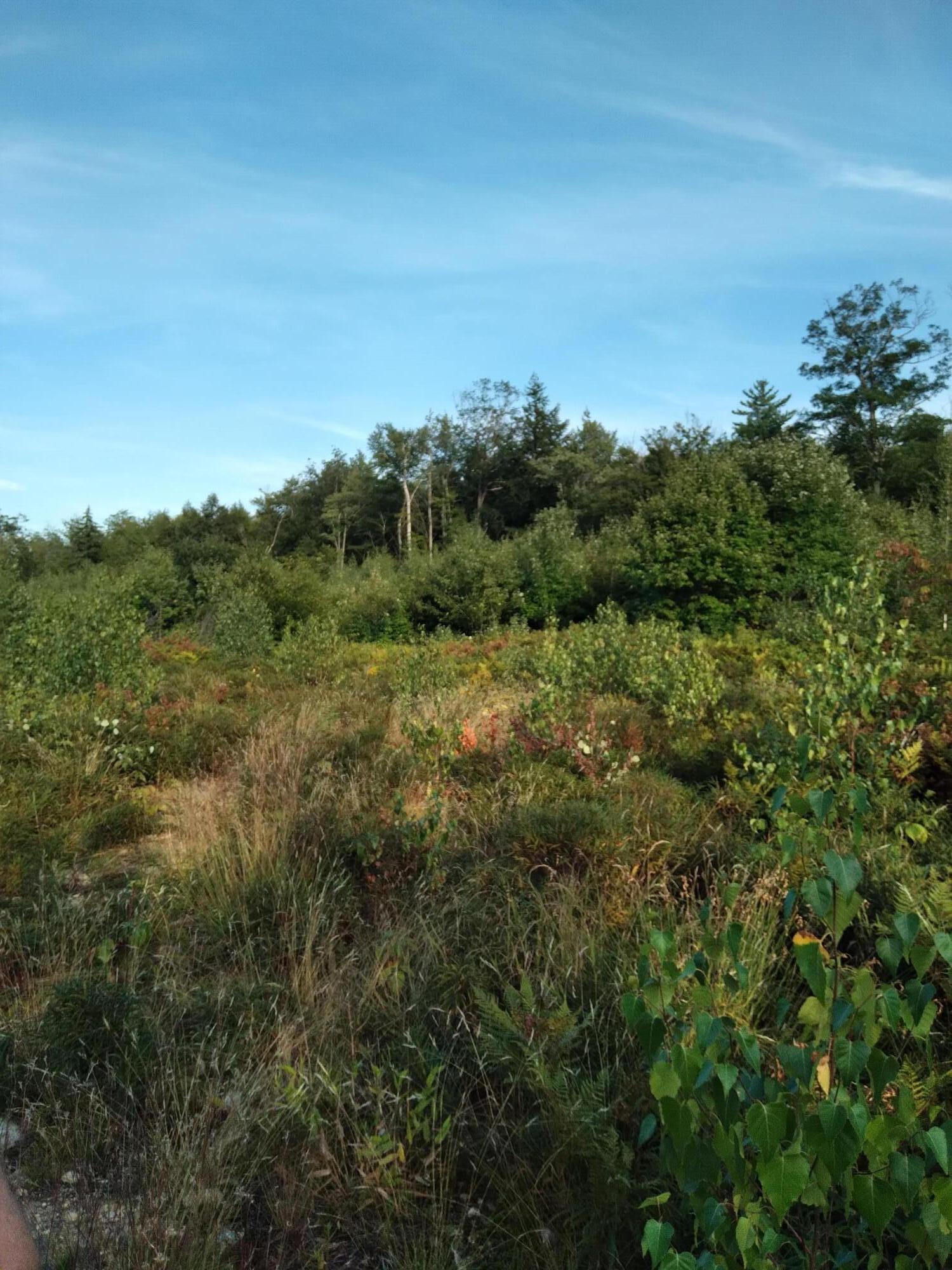 0 Federal Road Fryeburg, ME 04037 - Photo 15 of 21 Federal 3