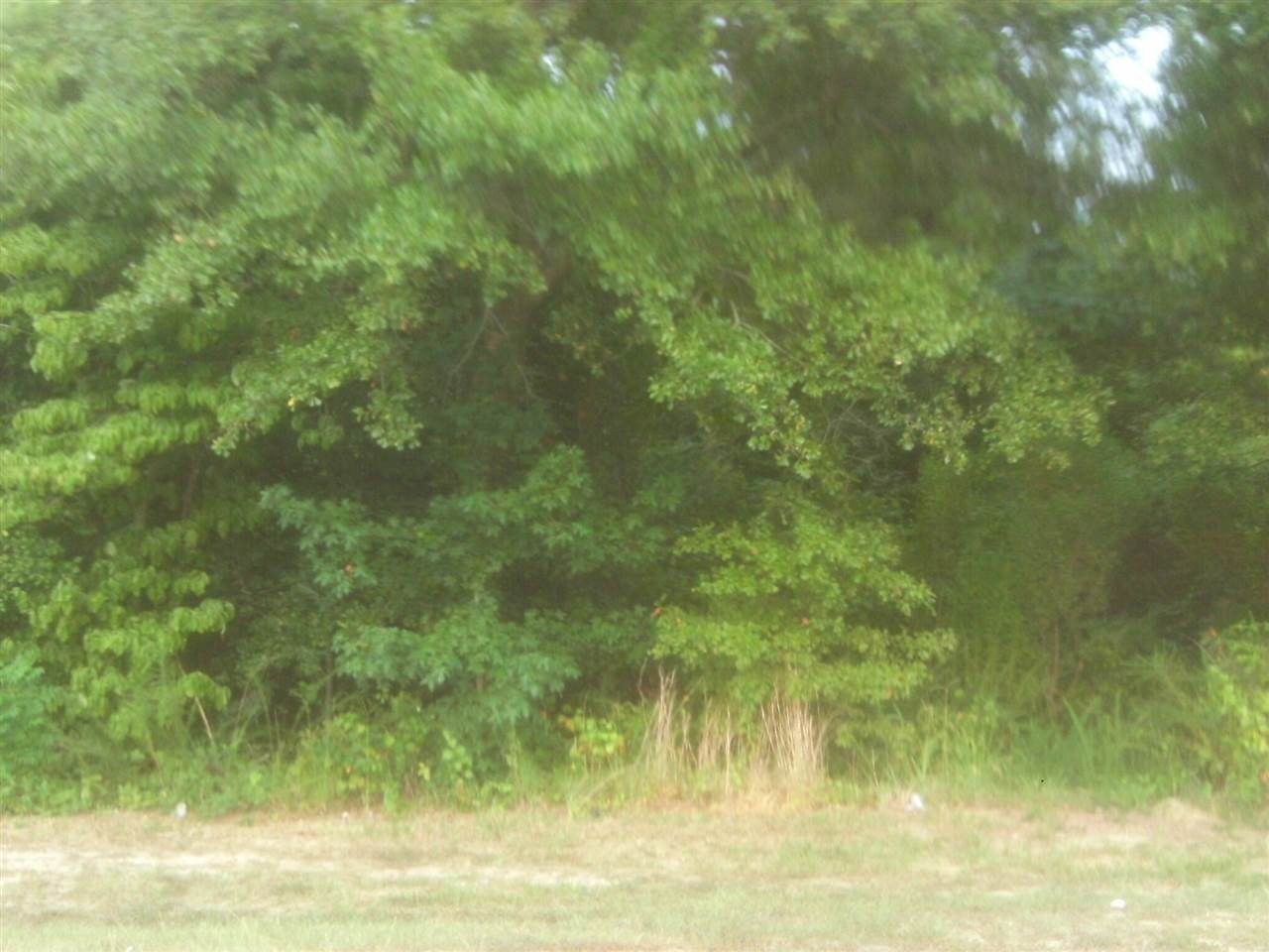 0 Onslow Stephenson Road Angier, NC 27501 - Photo 3 of 3 Photo 3