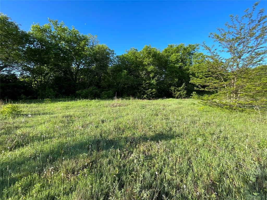 0 Block Road Gunter, TX 75058 - Photo 5 of 6