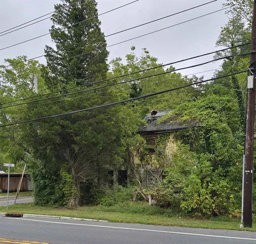 a view of a lush green space