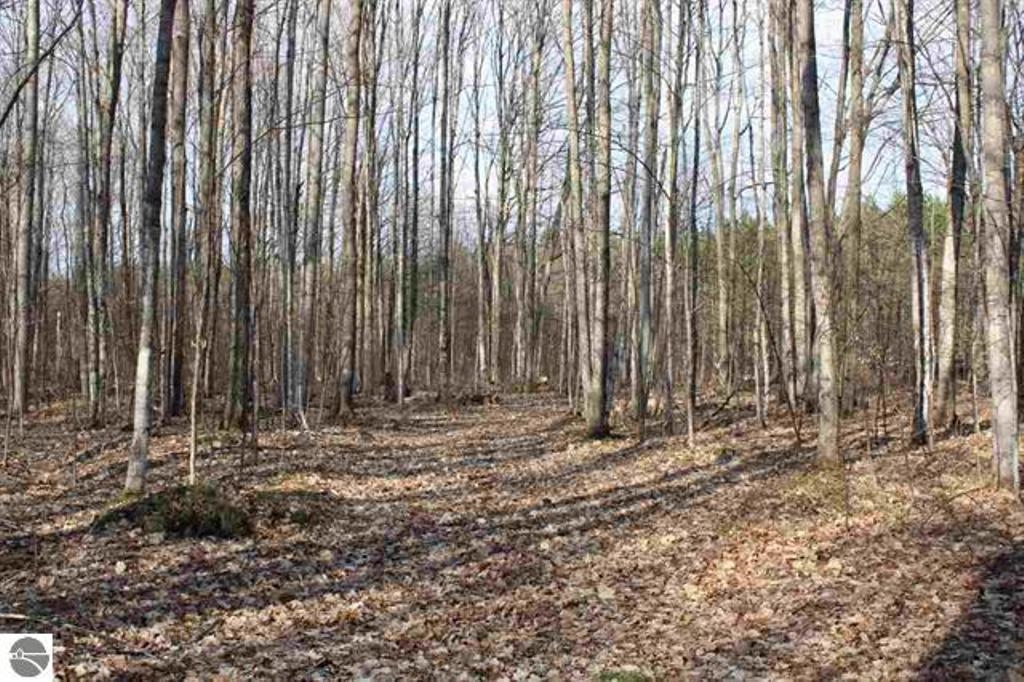 North Wheeler Lake Road Northeast, Unit NE Mancelona, MI 49659 - Photo 7 of 13
