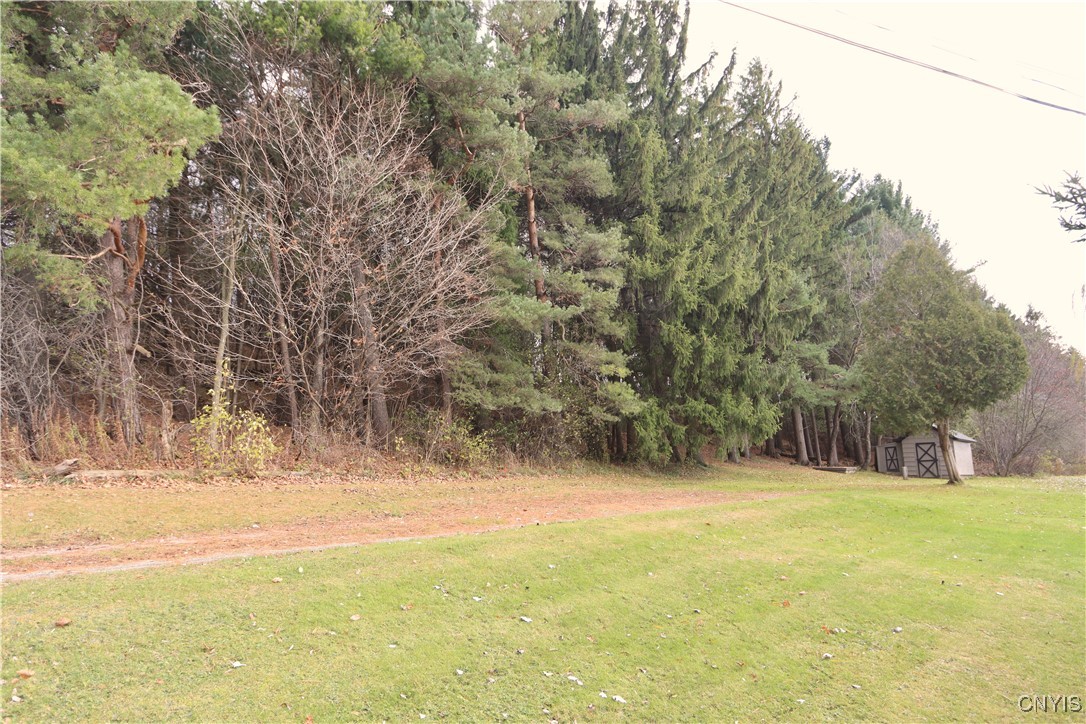 28120 Highway 126 Rutland, NY 13601 - Photo 3 of 8