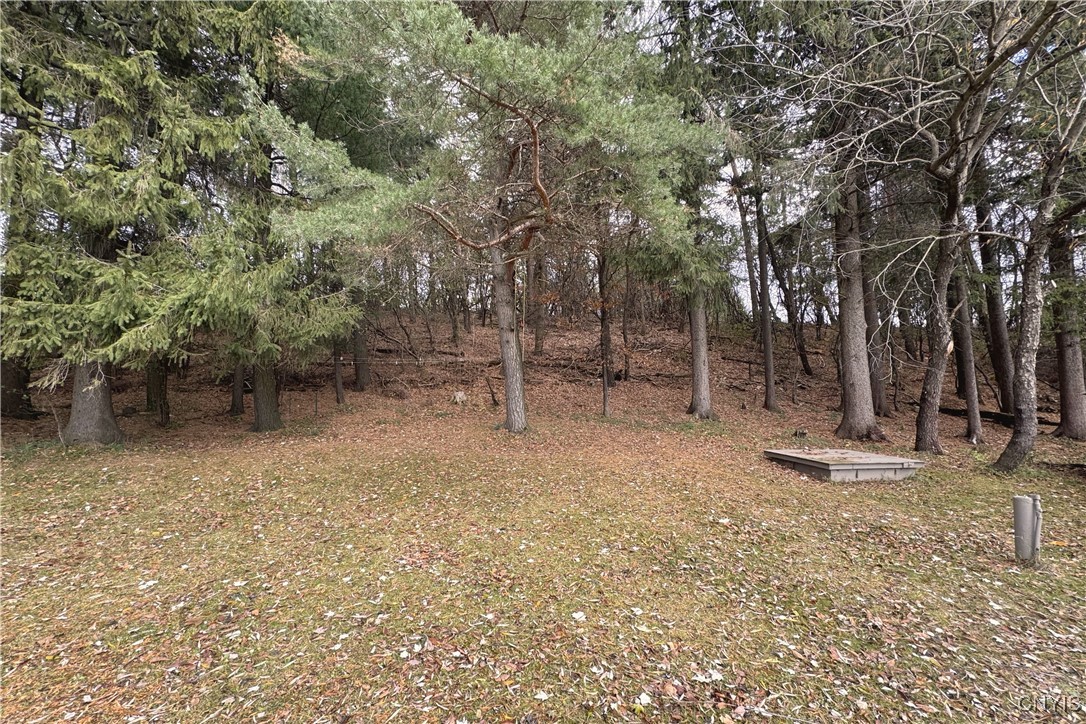 28120 Highway 126 Rutland, NY 13601 - Photo 6 of 8