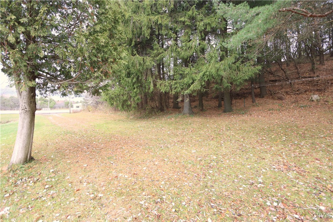 28120 Highway 126 Rutland, NY 13601 - Photo 8 of 8