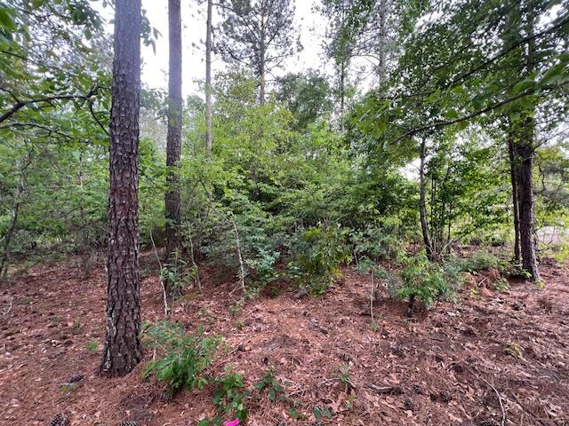 4 Fox Young Road, Unit FYF 4 Wagener, SC 29164 - Photo 5 of 13