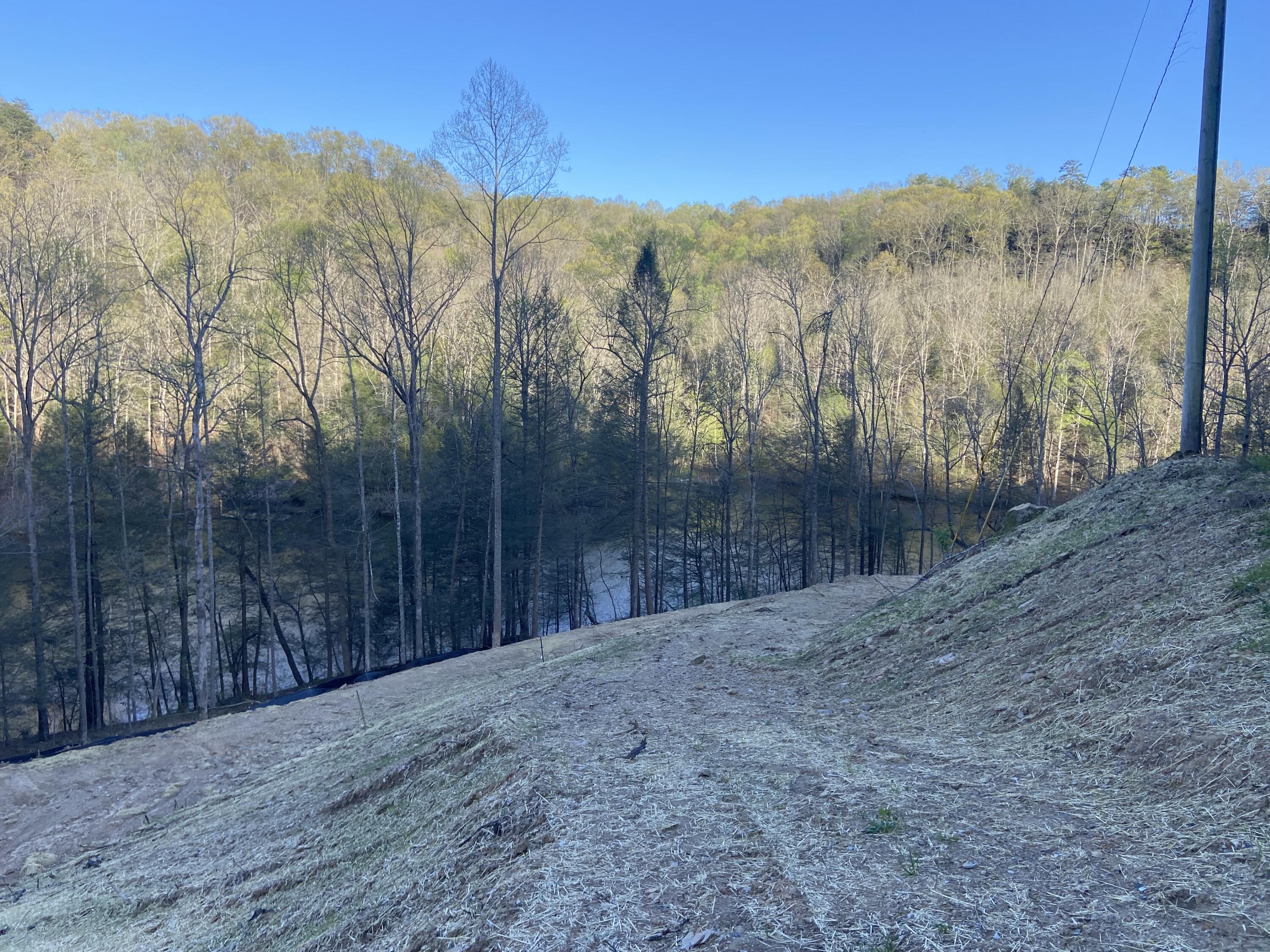 599 Cliffs Edge Road East Bernstadt, KY 40729 - Photo 2 of 10 IMG_4882