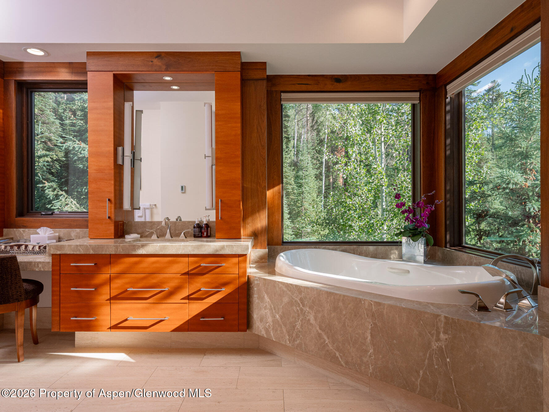 750 South Starwood Road Aspen, CO 81612 - Photo 14 of 39 a bath tub sitting in a bathroom next to a large window