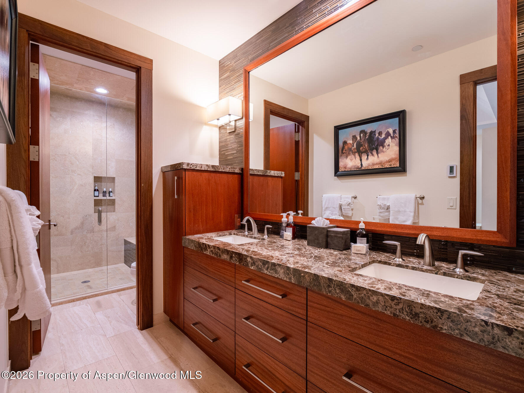 750 South Starwood Road Aspen, CO 81612 - Photo 21 of 39 a bathroom with a sink a mirror and a shower