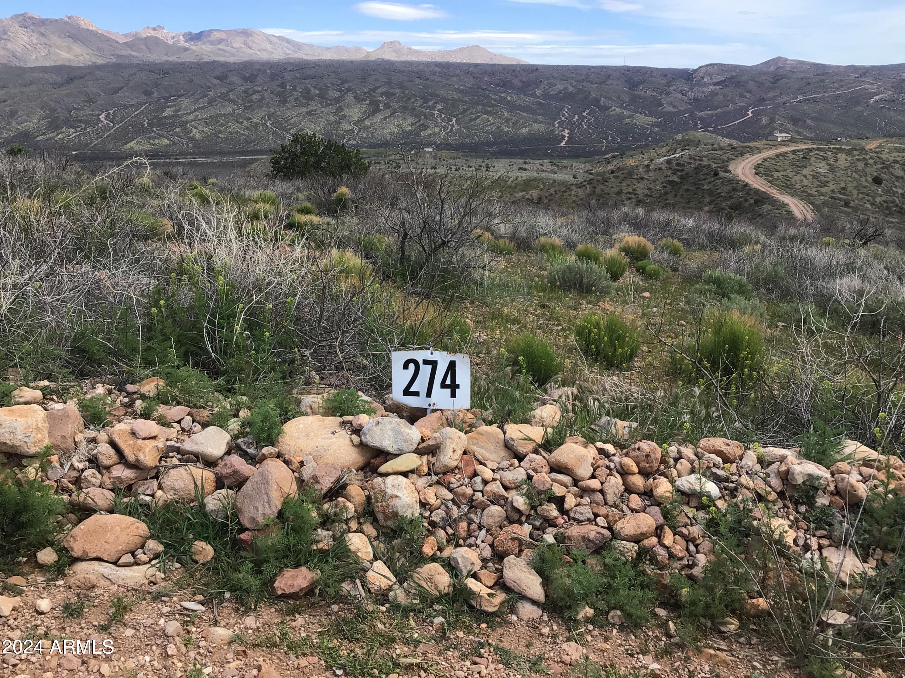 Lot 274 South Highpoint Rnch Road, Unit 274 Willcox, AZ 85643 - Photo 1 of 29 IMG_2827