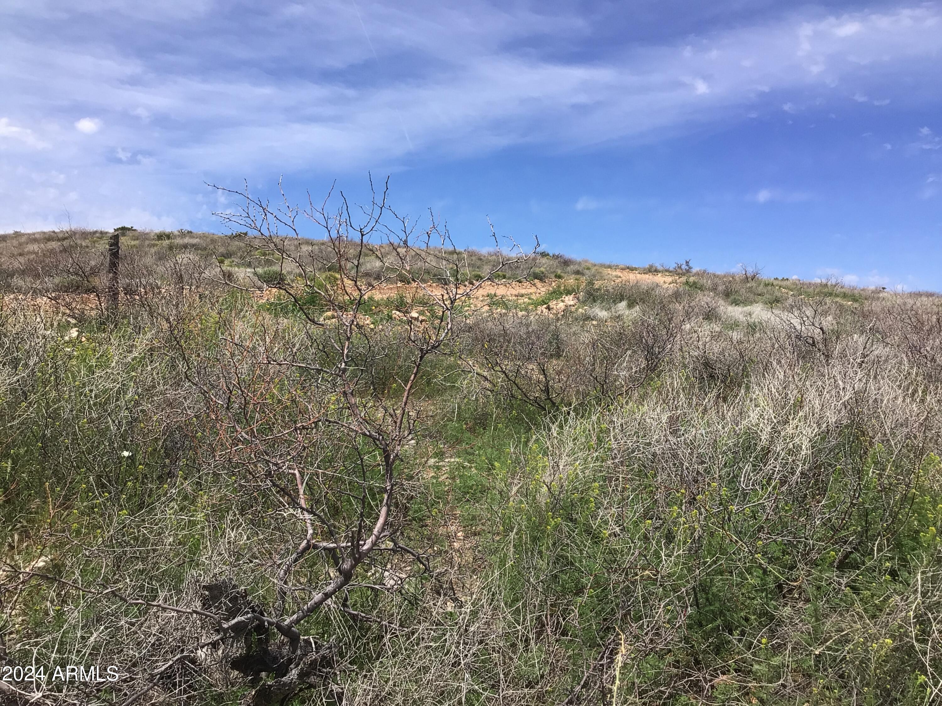 Lot 274 South Highpoint Rnch Road, Unit 274 Willcox, AZ 85643 - Photo 11 of 29 IMG_2835