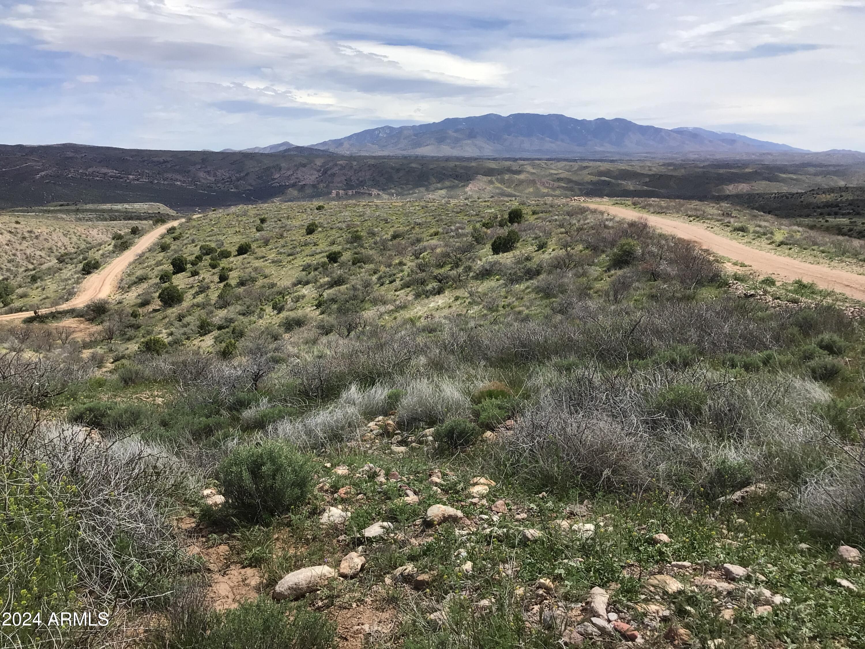 Lot 274 South Highpoint Rnch Road, Unit 274 Willcox, AZ 85643 - Photo 14 of 29 IMG_2840