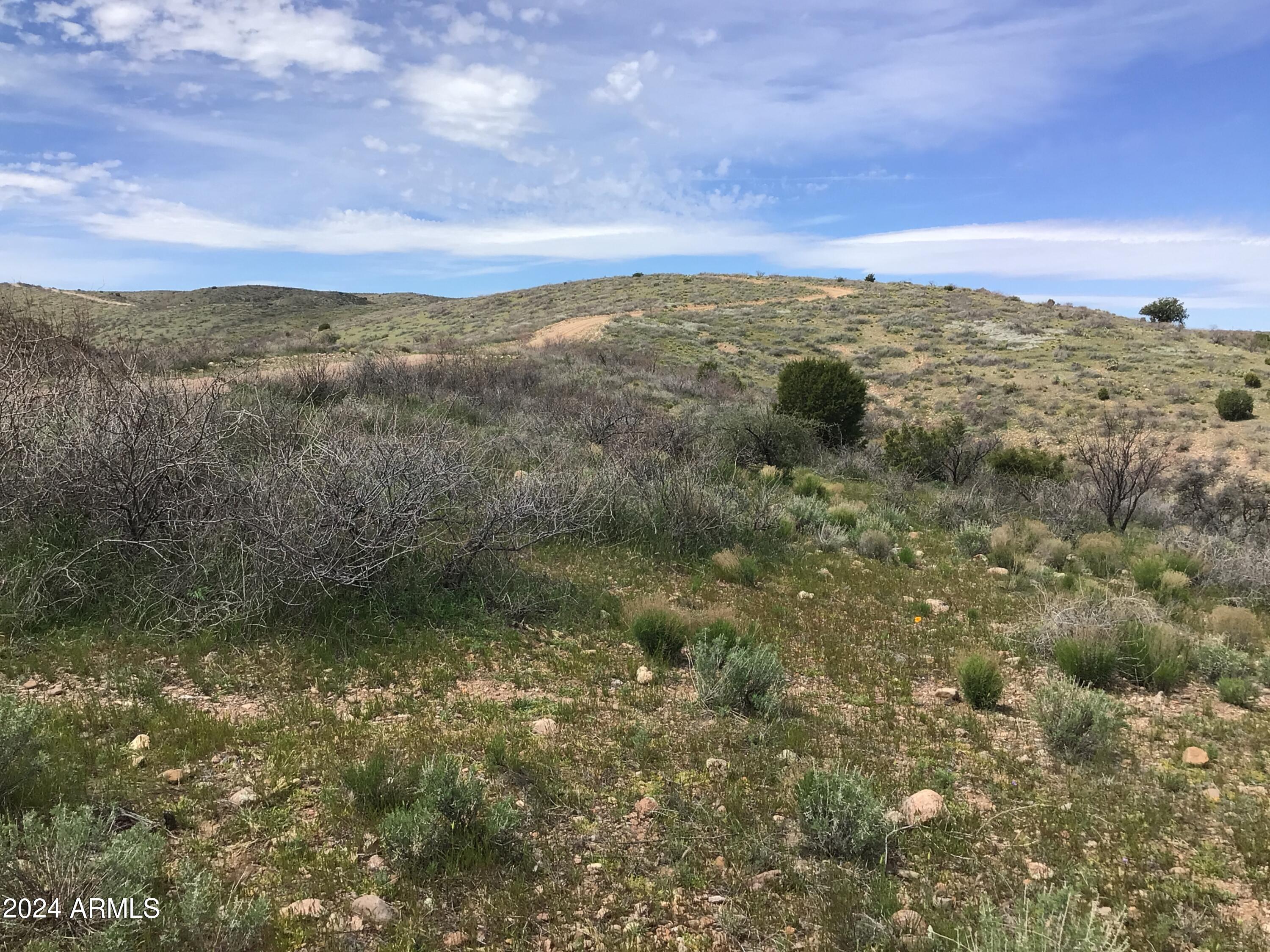 Lot 274 South Highpoint Rnch Road, Unit 274 Willcox, AZ 85643 - Photo 15 of 29 IMG_2842