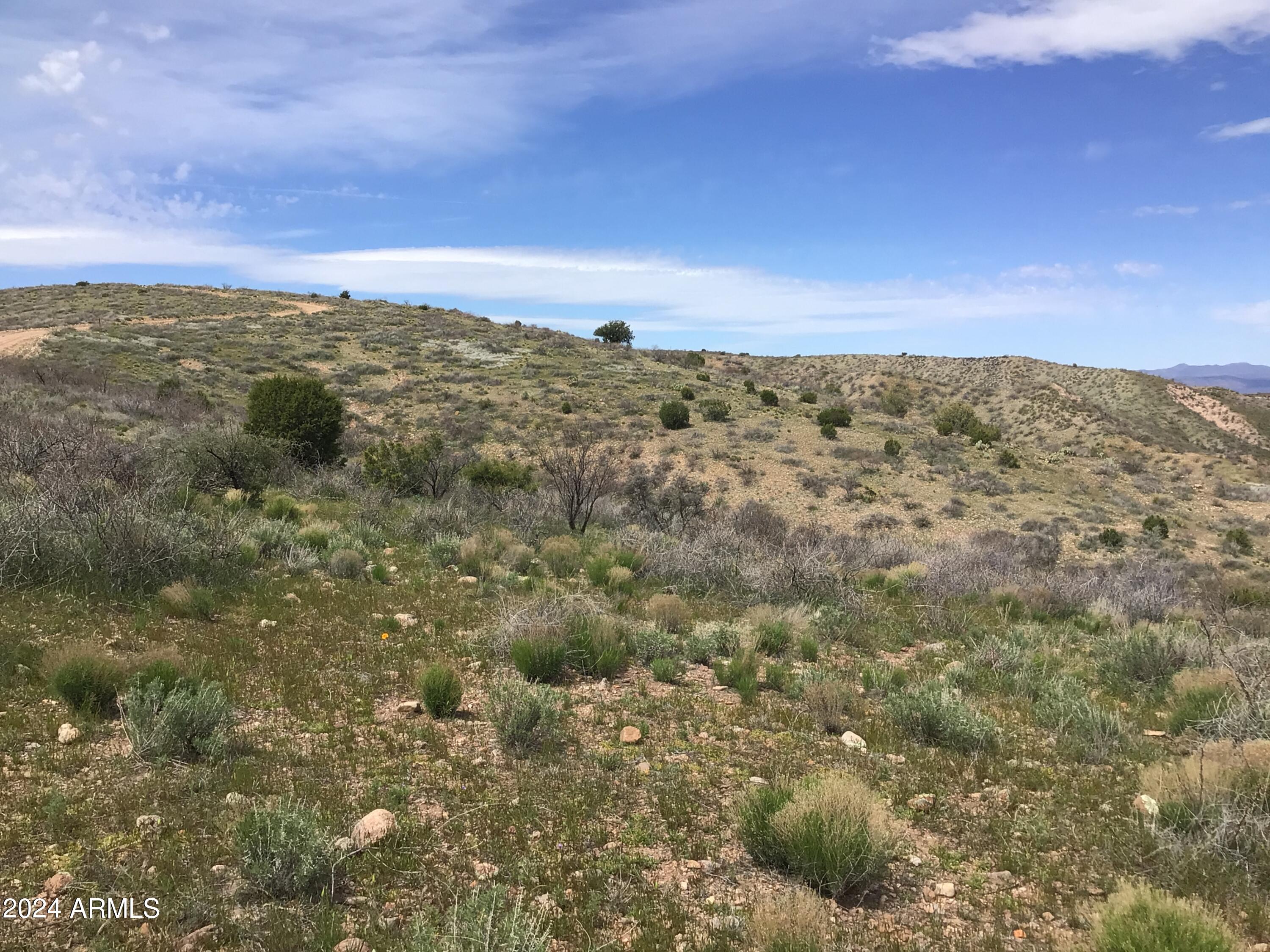 Lot 274 South Highpoint Rnch Road, Unit 274 Willcox, AZ 85643 - Photo 16 of 29 IMG_2843