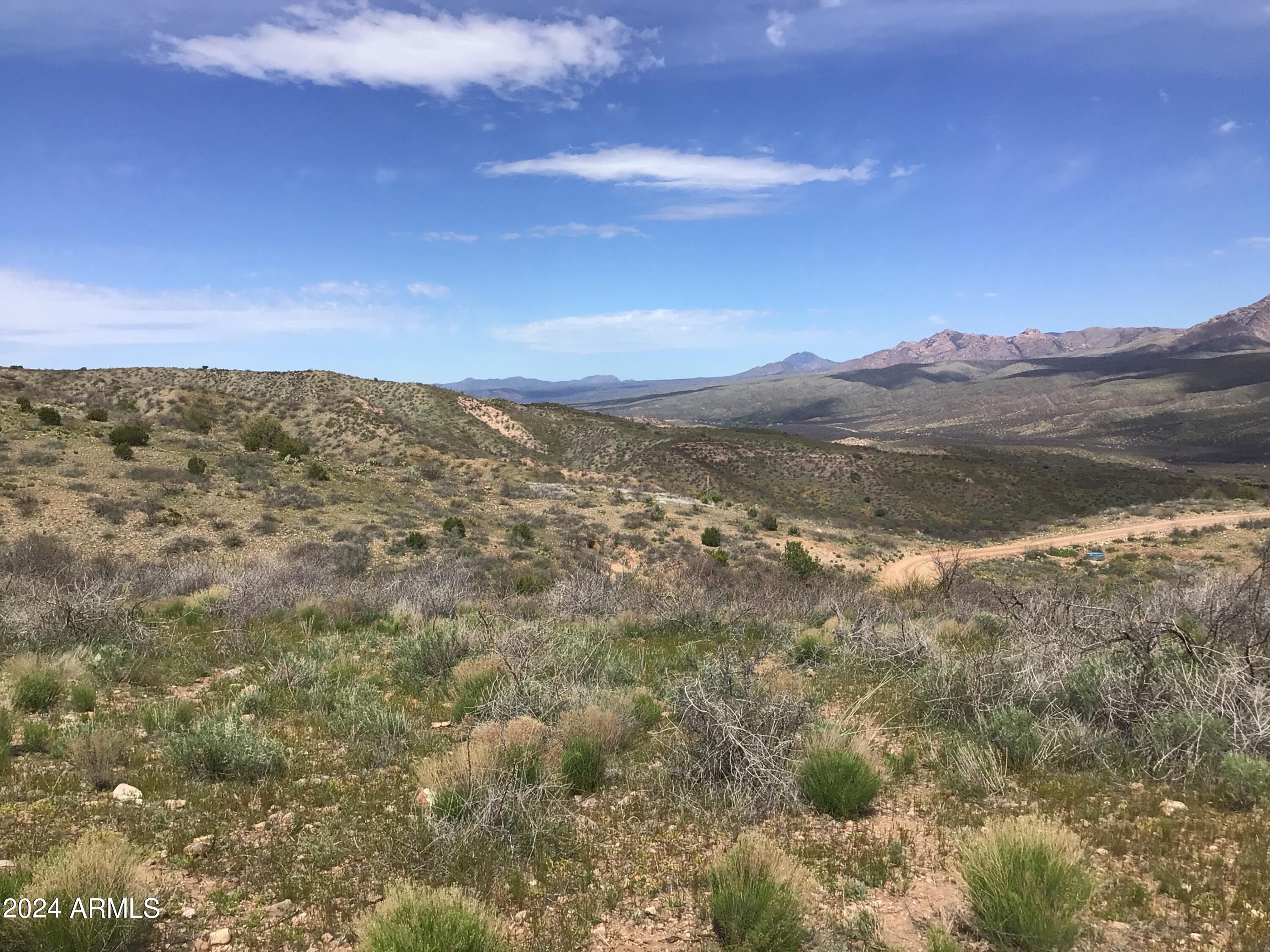 Lot 274 South Highpoint Rnch Road, Unit 274 Willcox, AZ 85643 - Photo 17 of 29 IMG_2844