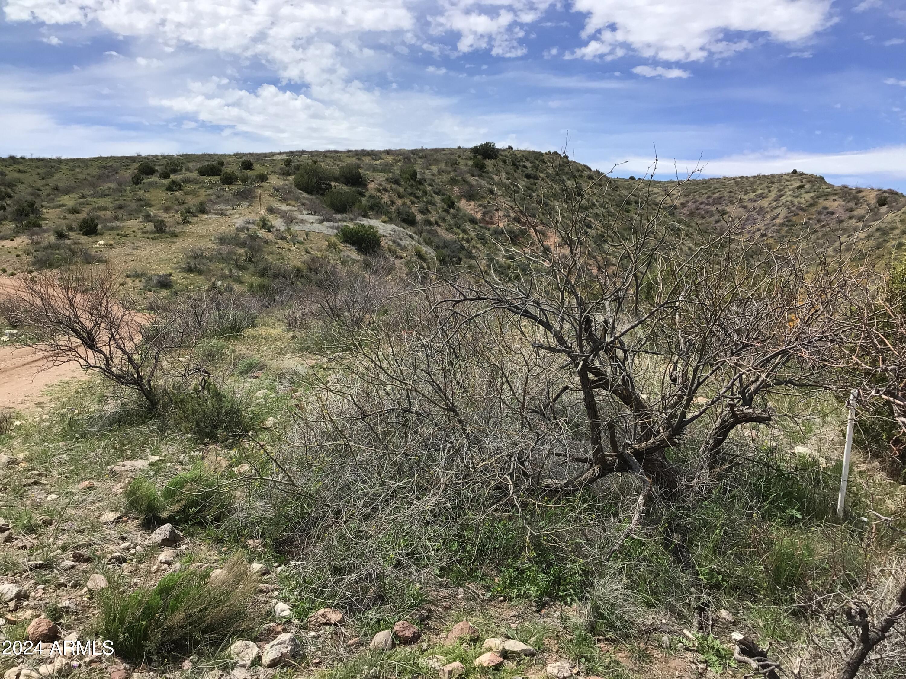 Lot 274 South Highpoint Rnch Road, Unit 274 Willcox, AZ 85643 - Photo 22 of 29 IMG_2858