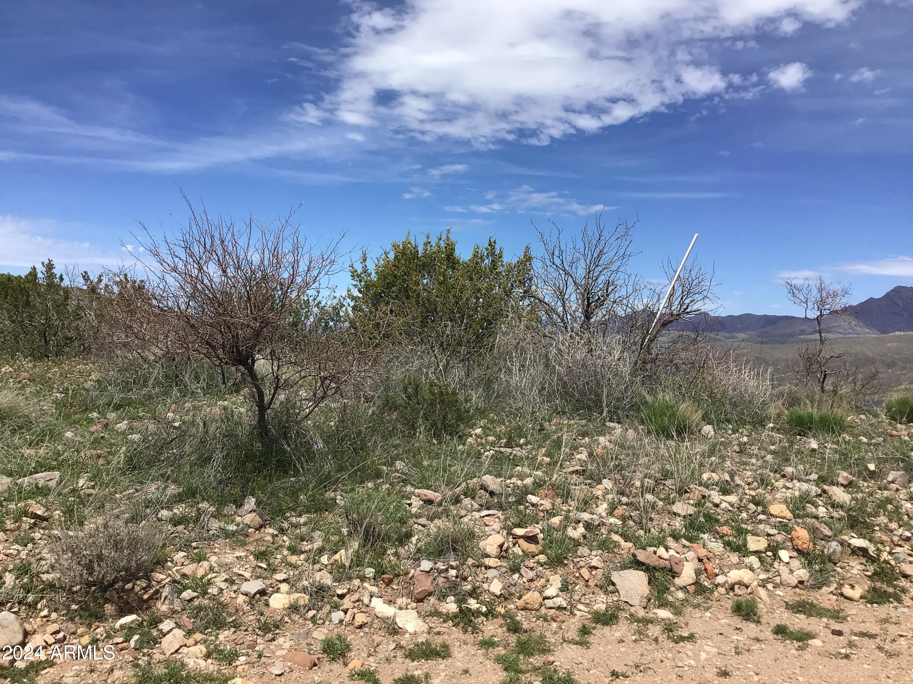 Lot 274 South Highpoint Rnch Road, Unit 274 Willcox, AZ 85643 - Photo 23 of 29 IMG_2880