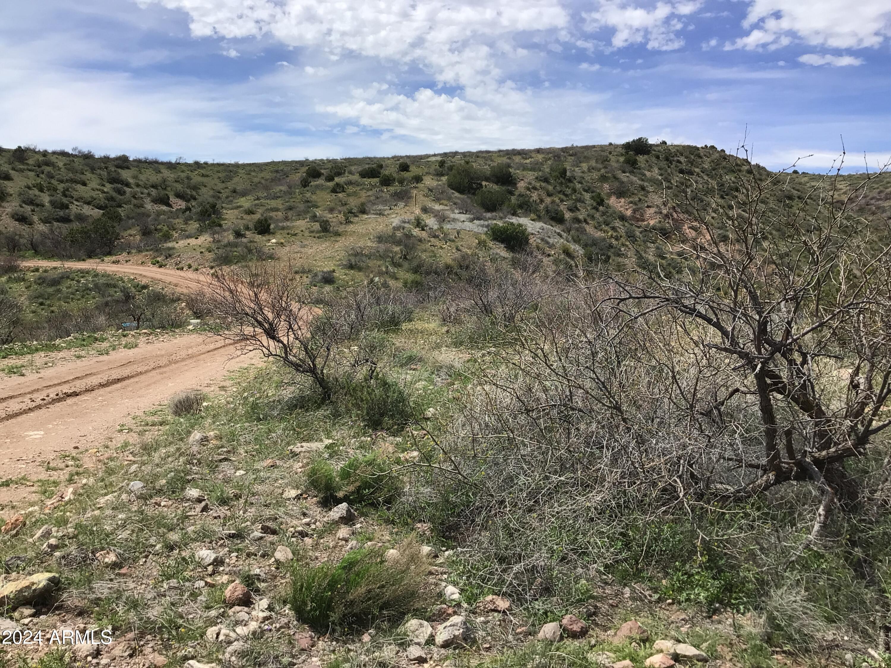 Lot 274 South Highpoint Rnch Road, Unit 274 Willcox, AZ 85643 - Photo 24 of 29 IMG_2859